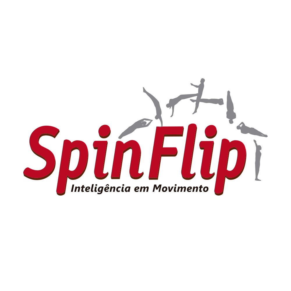 Spinflip